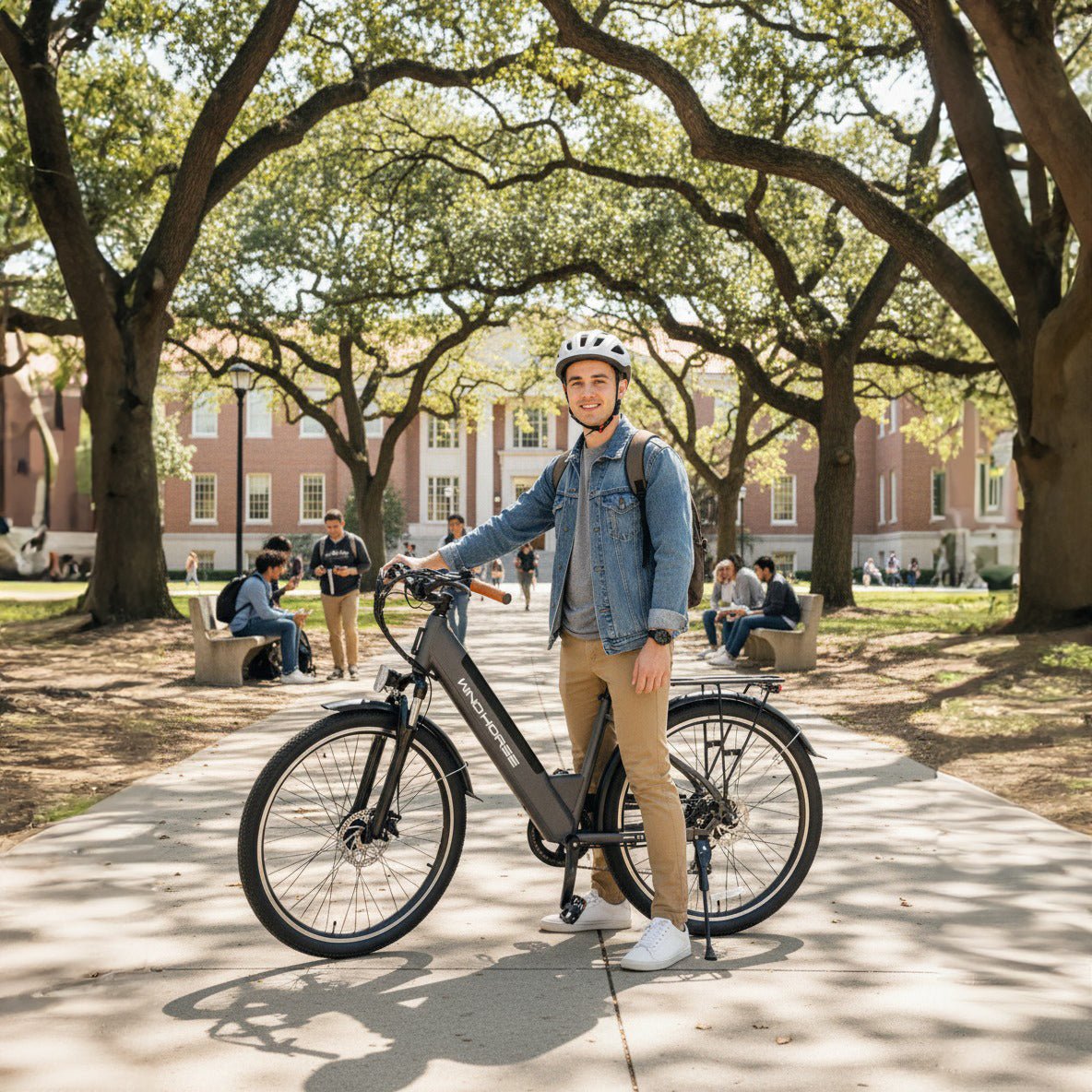 Electric Bike - WINDHORSE