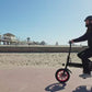Windhorse C19