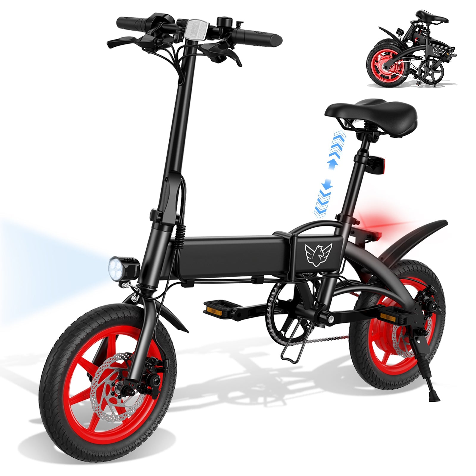 Windhorse C19 - WINDHORSE