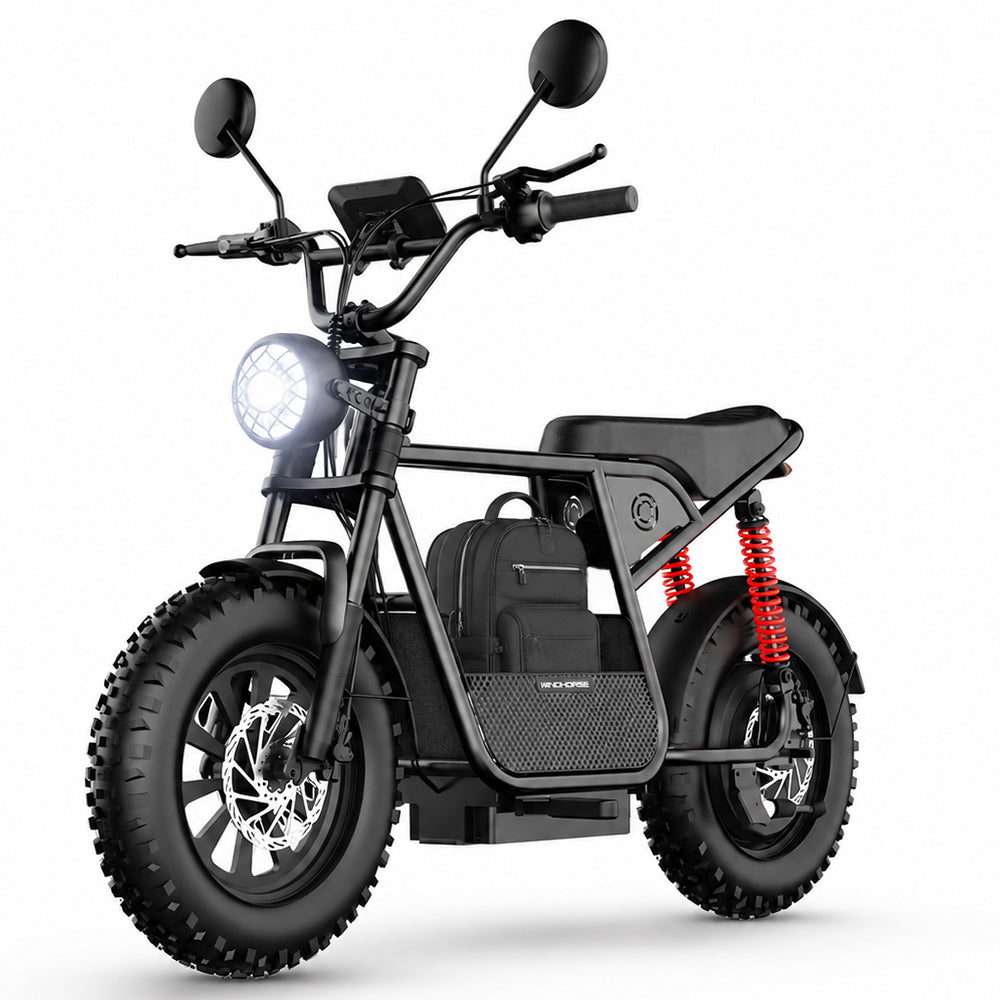 Windhorse D1 - WINDHORSE