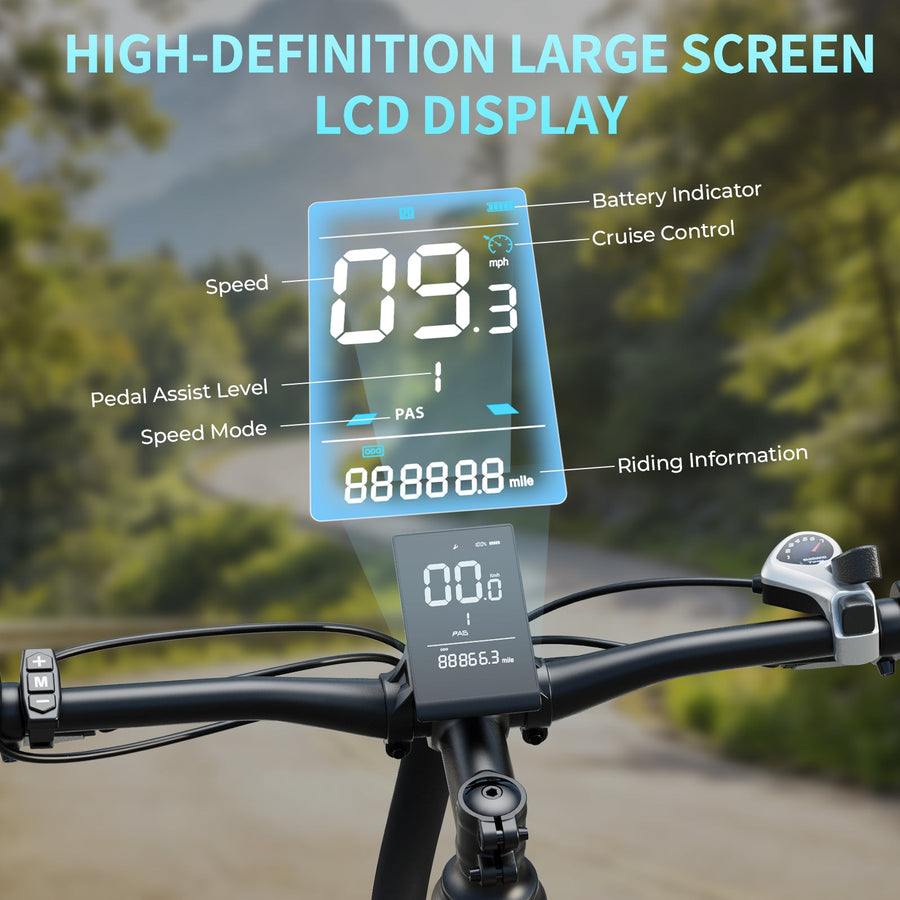 HD LCD display